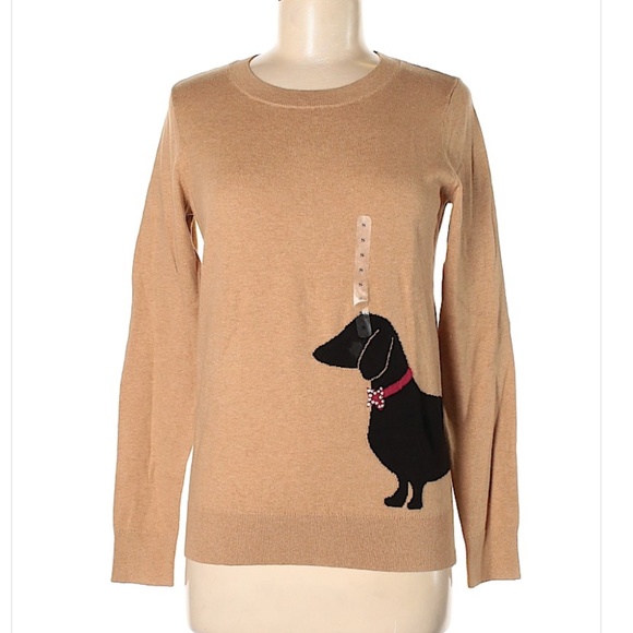 loft dog sweater